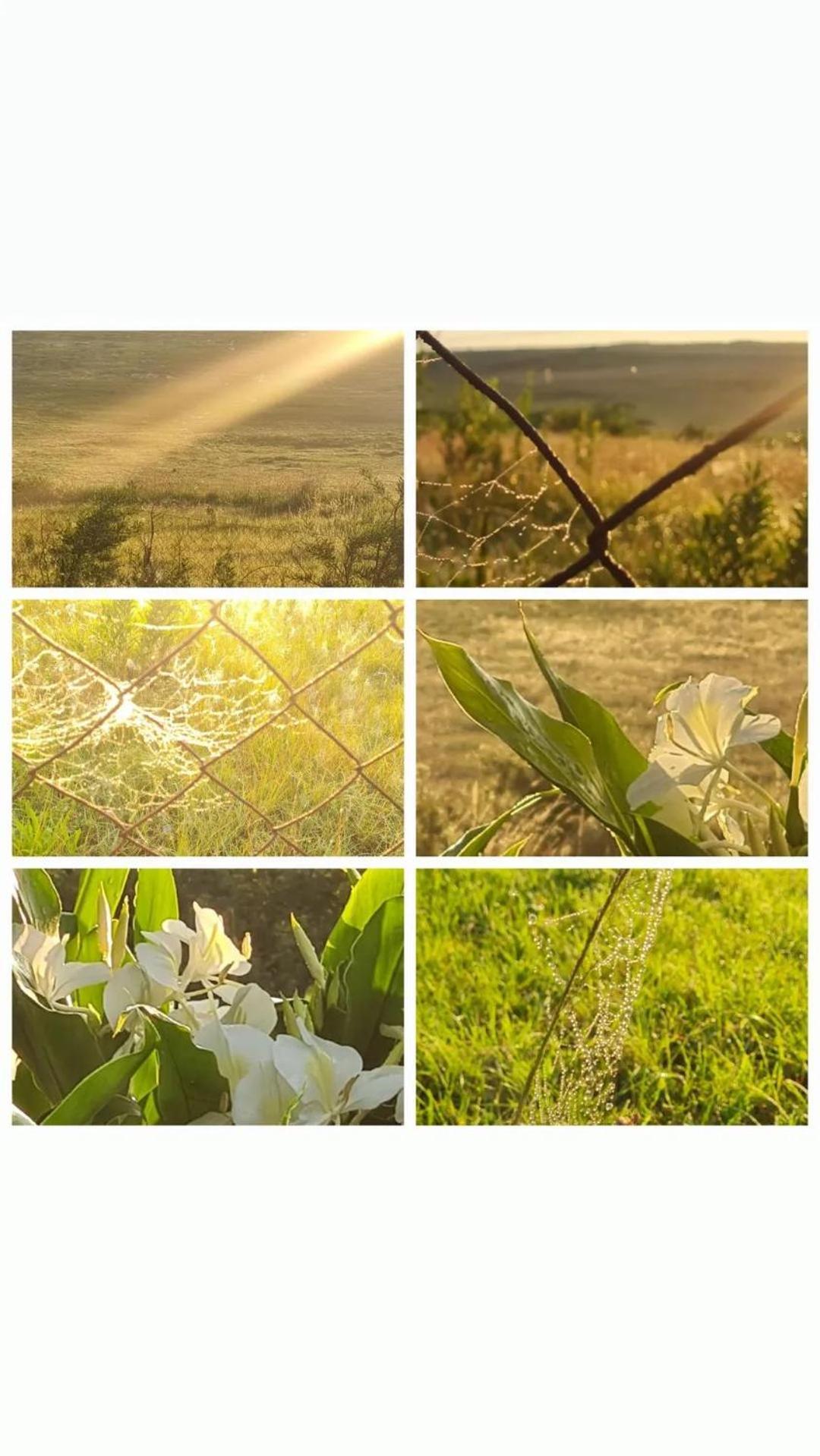 Mosswood Bed & Breakfast Graskop Εξωτερικό φωτογραφία