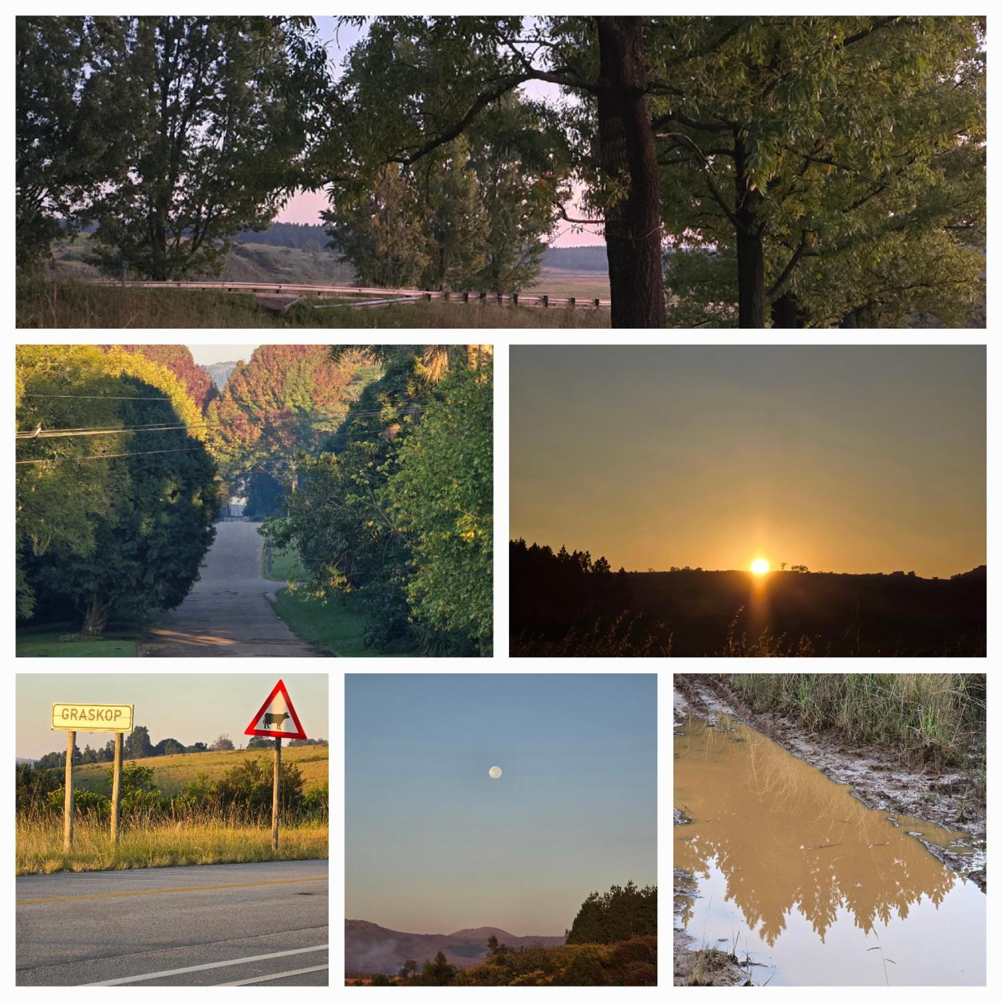 Mosswood Bed & Breakfast Graskop Εξωτερικό φωτογραφία