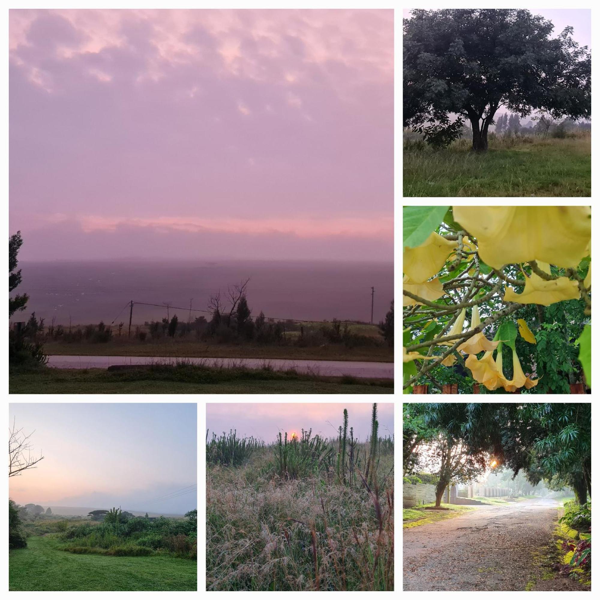 Mosswood Bed & Breakfast Graskop Εξωτερικό φωτογραφία