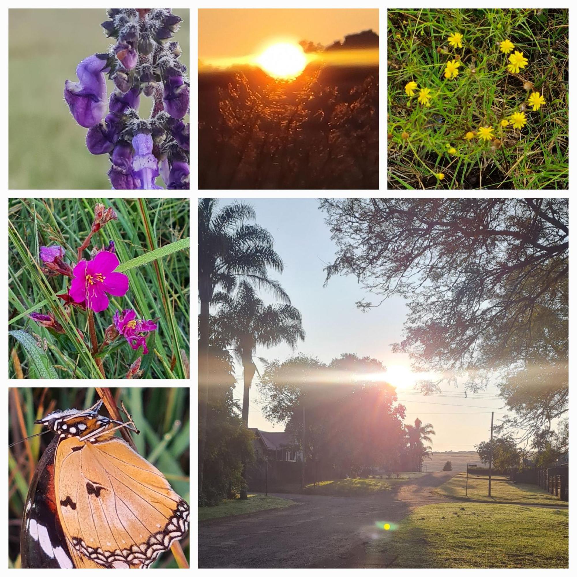 Mosswood Bed & Breakfast Graskop Εξωτερικό φωτογραφία