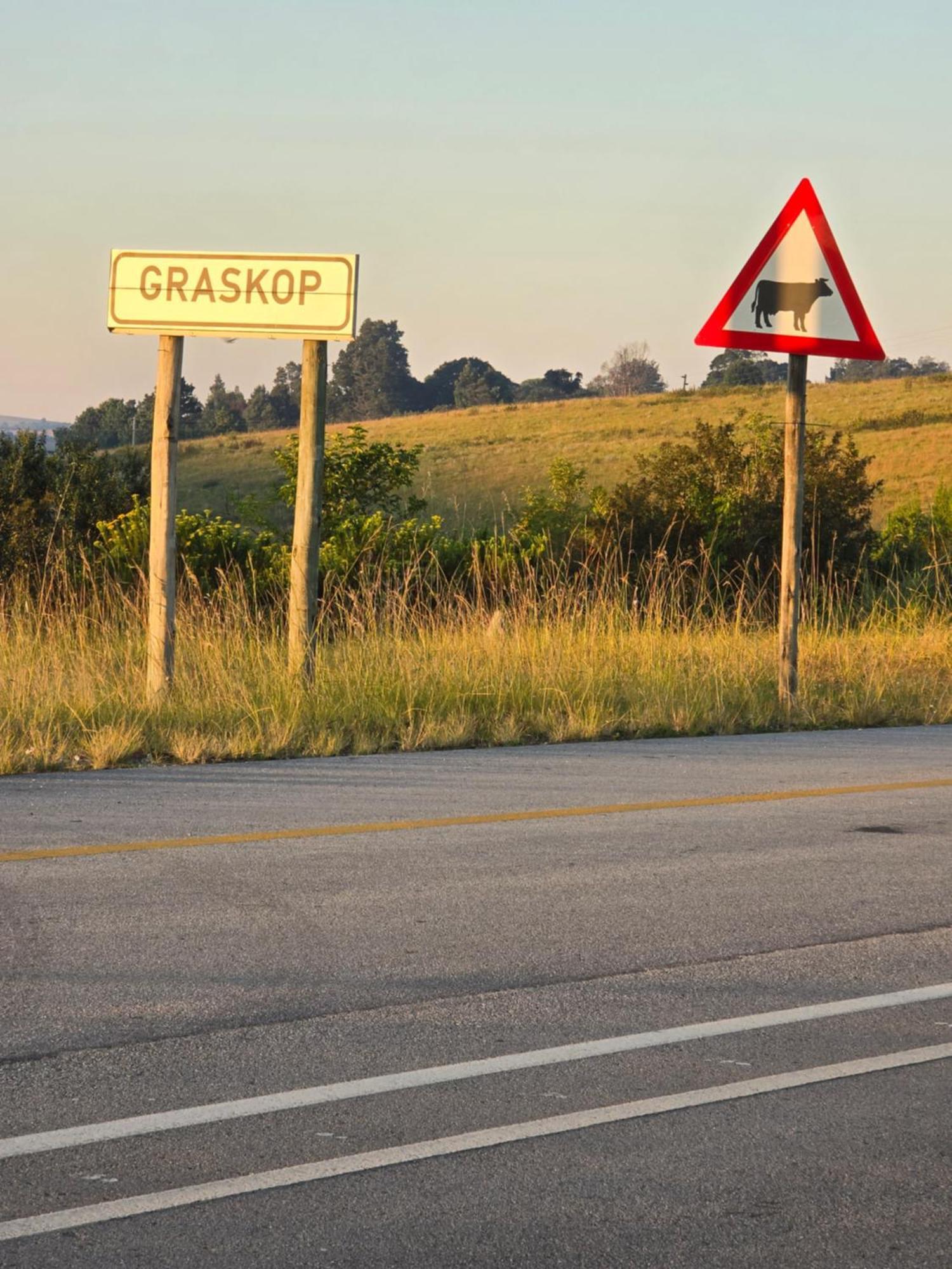 Mosswood Bed & Breakfast Graskop Εξωτερικό φωτογραφία